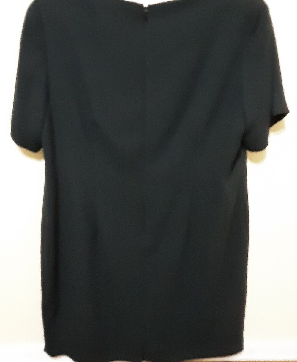 Black Dress Size 18 WP